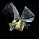 Illustration for article titled Six Impressive Creature Commuters